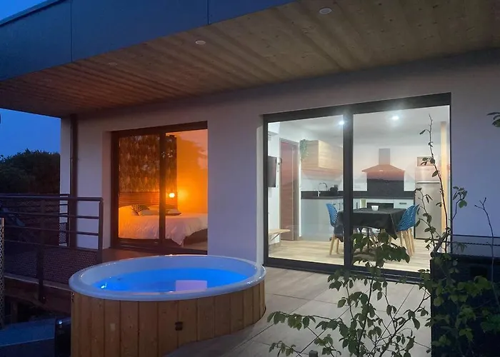 Nid Douillet Et Moderne * Beaumenil